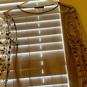 Discovery clothing company